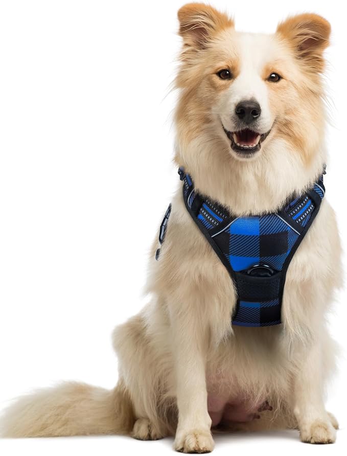 rabbitgoo Dog Harness Medium Sized Dog No Pull, Comfortable Padded Plaid Dog Harness with Handle Easy Control, Adjustable Reflective Puppy Pet Harness Vest with 2 Leash Clips, Blue Plaid, M