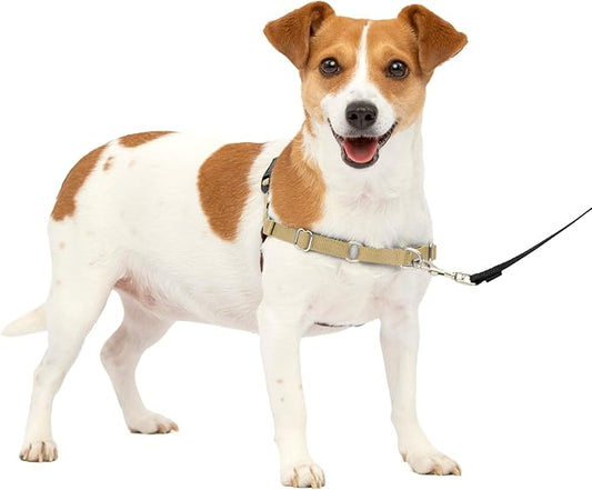 PetSafe Easy Walk No-Pull Dog Harness - The Ultimate Harness to Help Stop Pulling - Take Control & Teach Better Leash Manners - Helps Prevent Pets Pulling on Walks, Small, Fawn/Brown