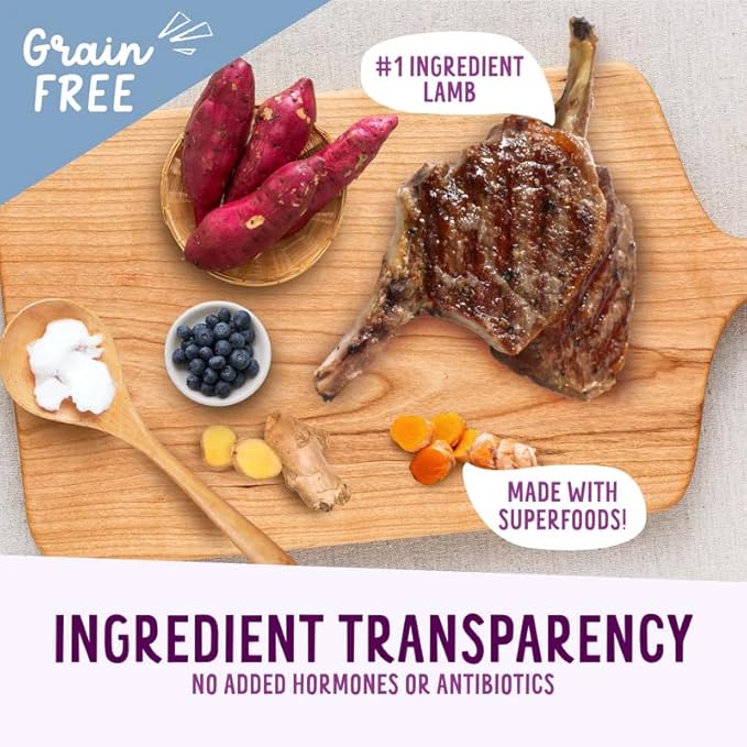 Health Extension Oven-Baked Dog Treats, 6oz (170g), Lamb & Blueberry Recipe – Gluten & Grain-Free, Superfood-Infused, Crunchy Biscuits for Puppy Training