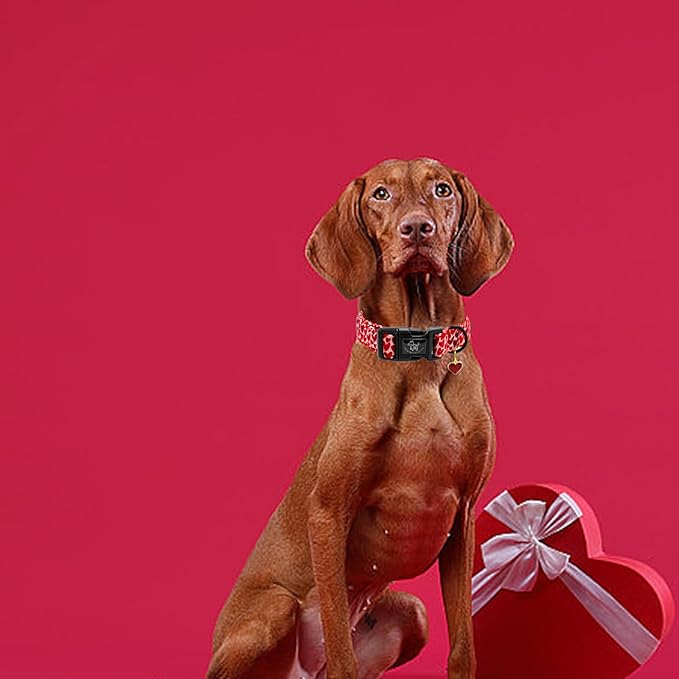 Elegant little tail Valentine's Day Dog Collar-Cute Red Heart Dog Collar for Medium Dogs, Female or Male Adjustable Cotton Pet Collar with Quick Release Buckle for Small Medium Large Dogs