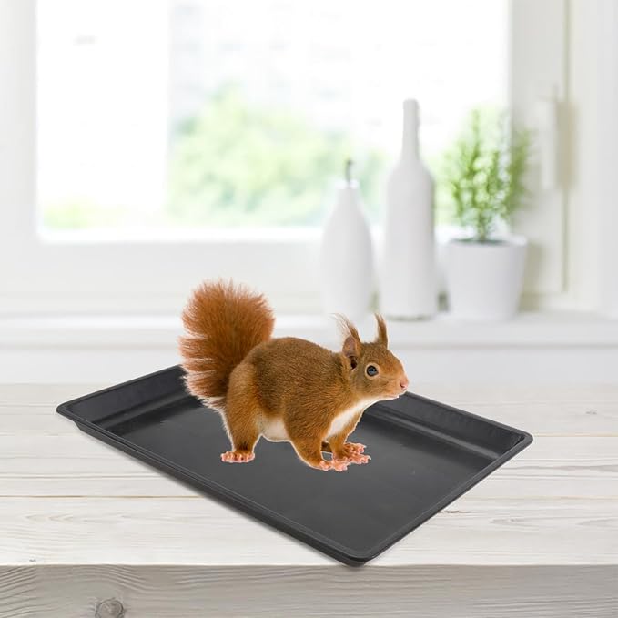 Garneck Replacement Dog Crate Tray Pan - Durable Black Plastic Tray for 43 x 32.5cm Dog Crates - Ideal for Dogs Cats and Small Pets Like Rabbits and Ferrets and Easy to Clean