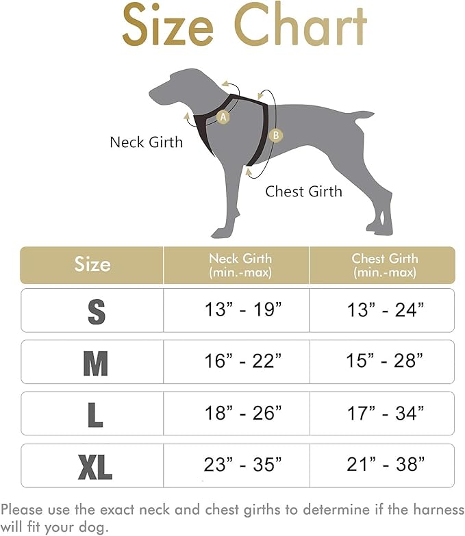 rabbitgoo Dog Harness, No-Pull Pet Harness with 2 Leash Clips, Adjustable Soft Padded Dog Vest, Reflective No-Choke Pet Oxford Vest with Easy Control Handle for Large Dogs, Beige, L