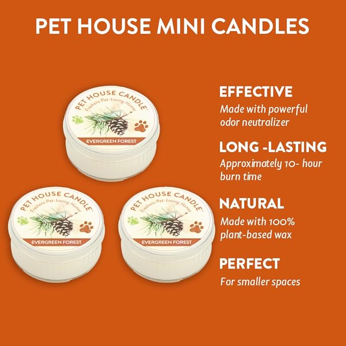 One Fur All Pet House Mini Candles for Pet Odor Made with Natural Soy Wax, Plant Based, Dog and Cat Friendly Scented Candles, Evergreen Forest Pack of 3