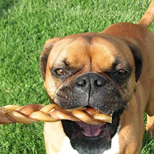 Pawstruck Natural 5” Braided Bully Sticks for Dogs - Tough Long Lasting, Rawhide Free, Low Odor, Healthy Single Ingredient Chew Treat for Aggressive Chewers - 10 Count - Packaging May Vary