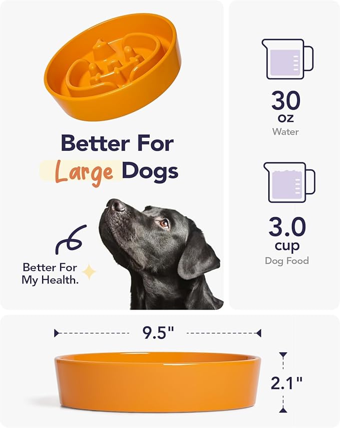 LE TAUCI Dog Bowls Slow Feeder Ceramic, 3 Cups Slow Feeding Dog Bowl Small Medium Breed, Puppy Slow Feeder Bowl for Fast Eater, Dog Dishes to Slow Down Eating, Puzzle Dog Food Bowl, Pumpkin Orange