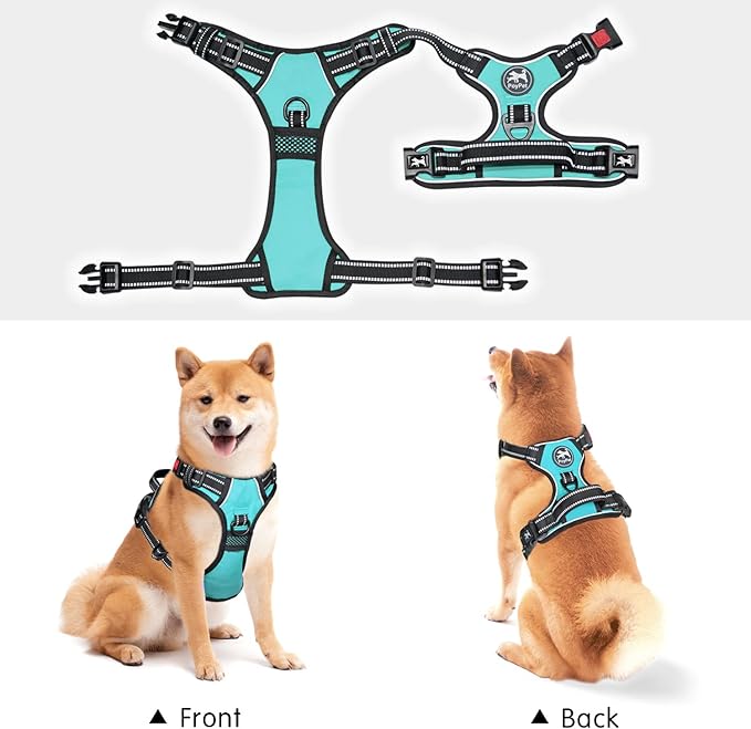 PoyPet No Pull Dog Harness, No Choke Front Clip Dog Reflective Harness, Adjustable Soft Padded Pet Vest with Easy Control Handle for Small to Large Dogs(Mint Blue,L)