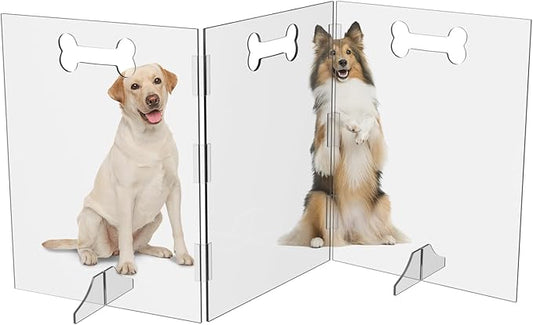 Clear Acrylic Dog Gate, 3 Panel 72" W x 31.5" H, Transparent Freestanding Pet Playpen Indoor, Foldable Pet Fence Barrier for Doorway with Handle/Support Feet