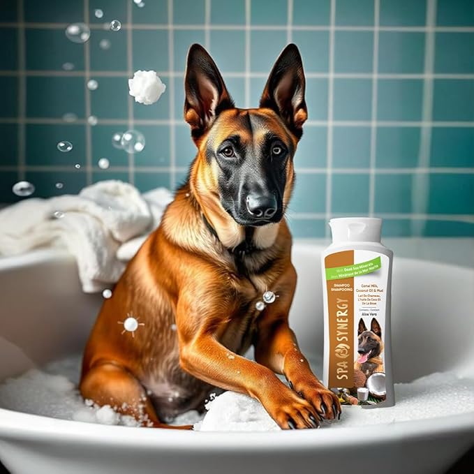 Pet Dog Shampoo Mud and Natural Dead Sea Mineral Rich, Aloe Vera & Vitamin-E, Soothing, Soften, Anti Dandruff, Cleansing- Camel Milk & Coconut Oil - (1) Bottle 16.5 FL OZ