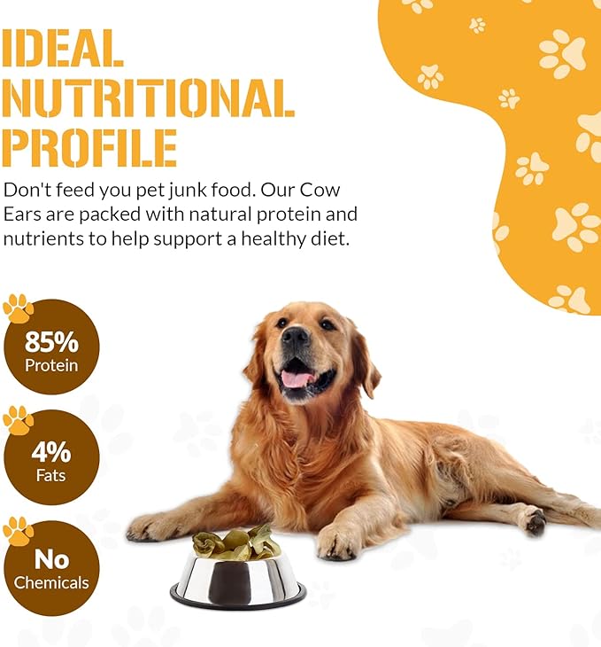 Dog Chits Cow Ears Dog and Puppy Treats - All Natural Grain and Chemical Free Training Chews - High Protein and Low Fat - Supports Dental Health - Made in The USA - 10 Count