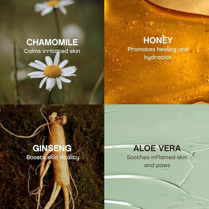 Hypoallergenic Renewing Dog Wipes - Grooming Natural Fresh Aloe Wipes for Paws, Face, Skin, Eyes, Ears, Butt - Perfect for Puppy & Adult Dogs - Vet Dermatologist Formulated - Extra Thick (72 Count)