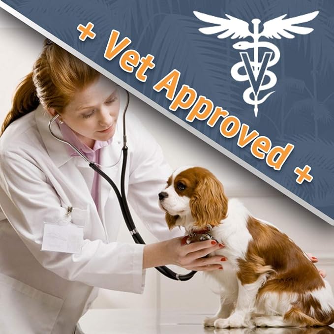 Jungle Pet Deodorizing Dog Shampoo for Smelly Dogs - Grooming & Cleansing Pet Shampoo for Dogs with Hypoallergenic Essential Fatty Acids - Soap, Sulfate & Paraben Free - Sweet Pea Vanilla Scent, 12 oz