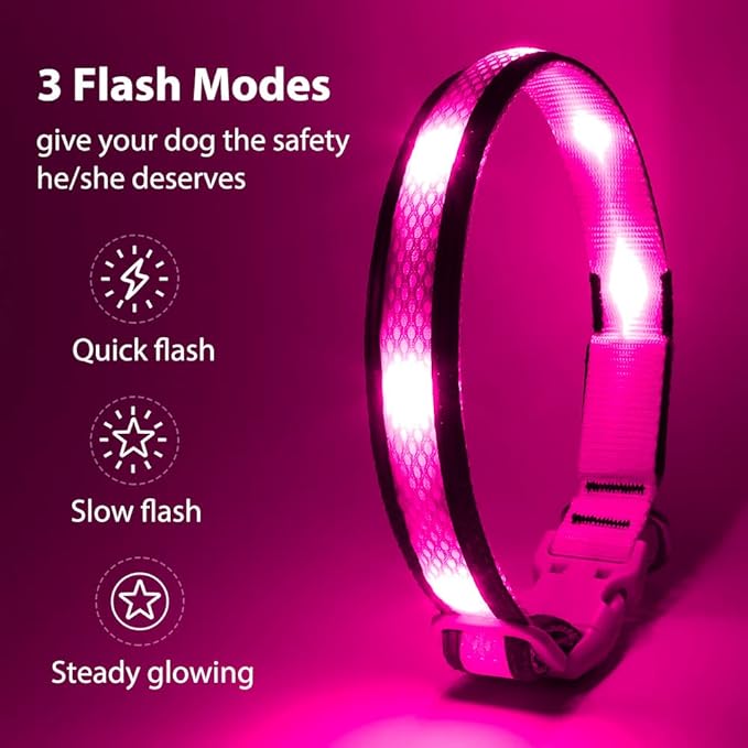 BSEEN Light Up Dog Collar - Reflective LED Dog Collar Light, Adjustable Glowing Puppy Collar, Rechargeable Dog Camping Gear Dog Walking Lights for Small Medium Large Dogs (Small, Pink Ⅱ)