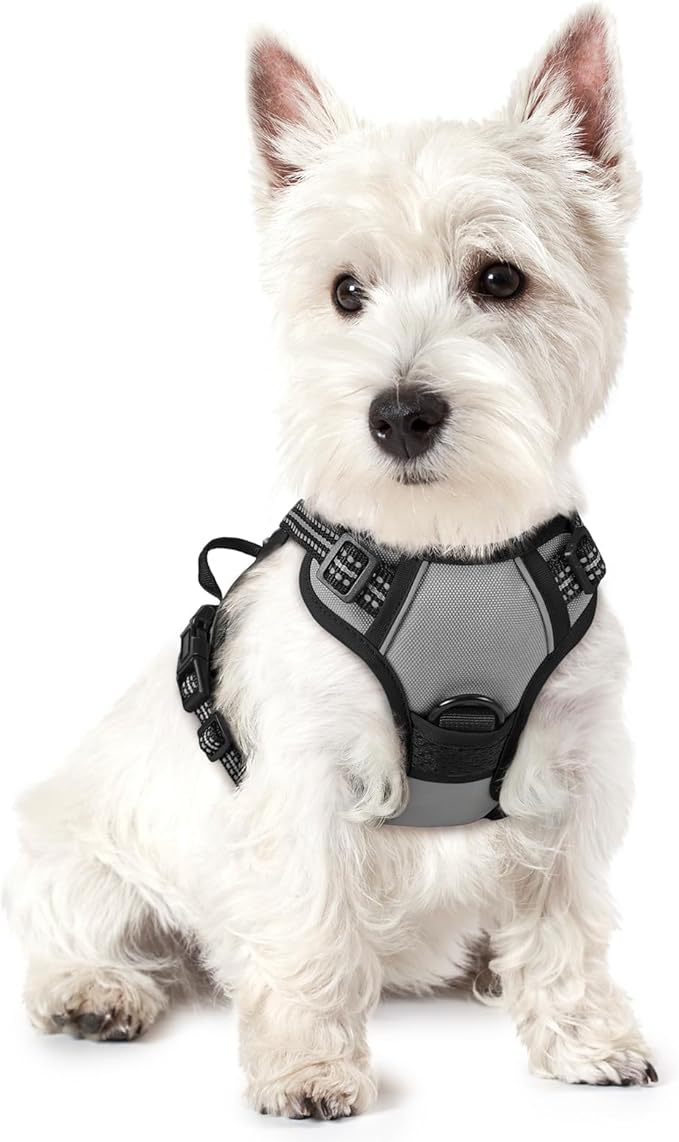 rabbitgoo Dog Harness, No-Pull Pet Harness with 2 Leash Clips, Adjustable Soft Padded Dog Vest, Reflective No-Choke Pet Oxford Vest with Easy Control Handle for Small Dogs, Grey, XS