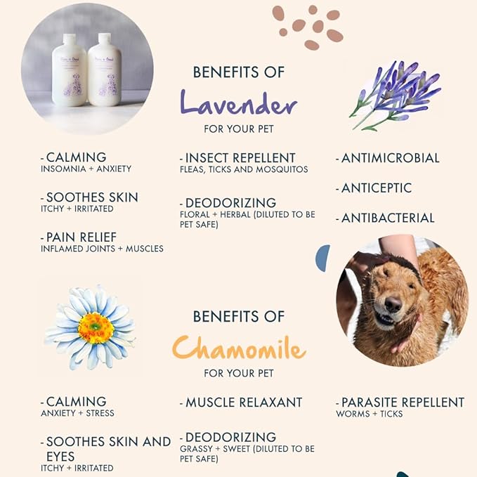 Lavender + Chamomile Shampoo and Conditioner Set, Soothing Lavender and Herbaceous Chamomile, Formulated for All Pets, Gentle and Cleansing, Made in The USA, Cruelty Free, 16 fl oz