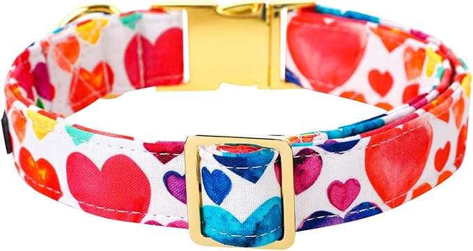 Lionet Paws Valentine Day Dog Collar, Heavy-Duty Cute Colorful Heart Pattern Pet Collar with Metal Buckle Necklace for Small Medium Dog Gift, Neck 13.5-22 inches