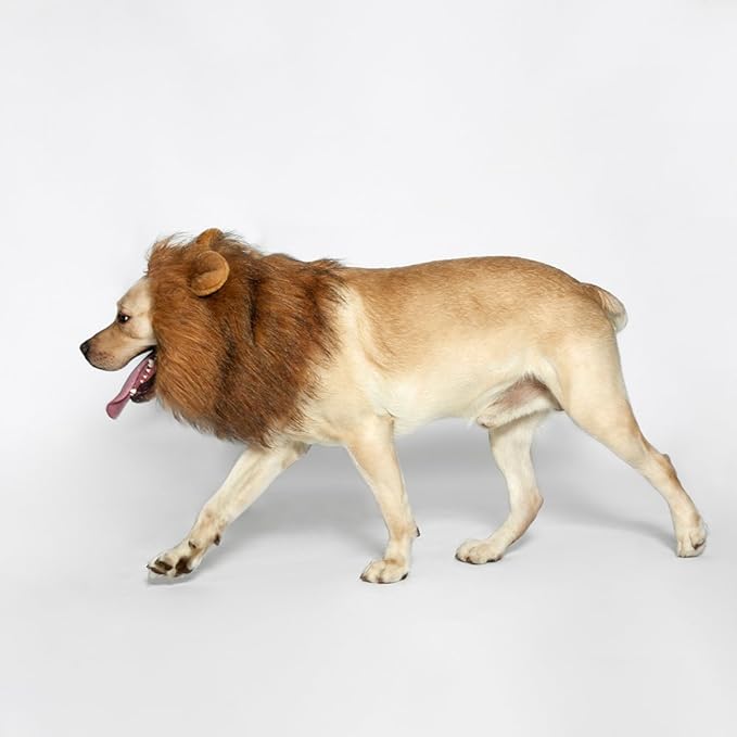 Realistic & Funny Lion Mane for Dogs Complementary Lion Mane for Dog Costumes for Medium to Large Sized Dogs Costumes for Animals