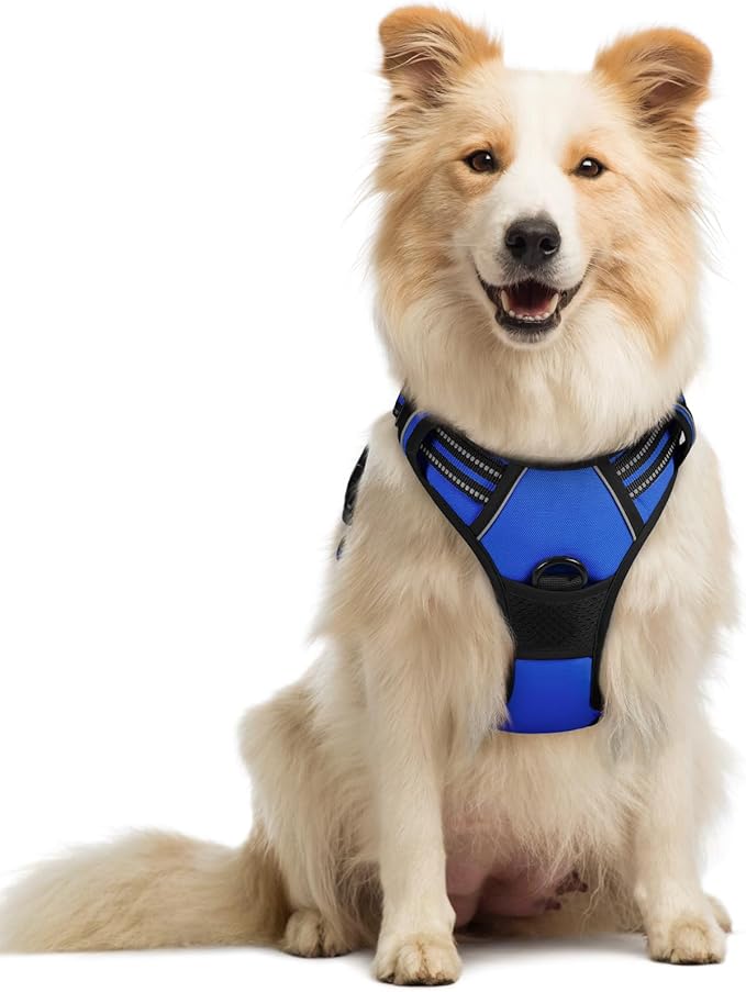 rabbitgoo Dog Harness, No-Pull Pet Harness with 2 Leash Clips, Adjustable Soft Padded Dog Vest, Reflective No-Choke Pet Oxford Vest with Easy Control Handle for Small Dogs, Dazzling Blue, M