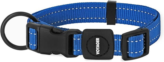 Best Pet Supplies Reflective Dog Collar with Adjustable Length, Heavy-Duty Buckle, and Strong Leash D-Ring, Training, Walking, Jogging Accessory for Small, Medium, and Large Breeds - Royal Blue, L