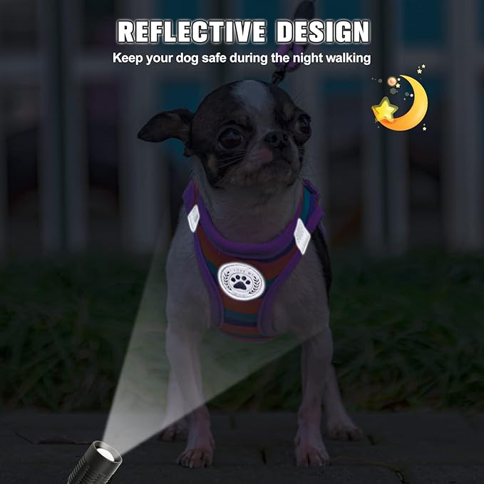 BEAUTYZOO Dog Harness and Leash Set for Small Dogs,No Pull Step-in Harness for Puppy XS S Sized Dogs and Cats,Air Mesh Adjustable Breathable Soft No Chock Escape Proof Vest Harness,Striped Purple XXS