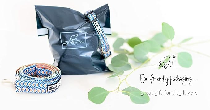 Lucky Love Dog Martingale Collar and Leash Set, Premium No Slip Collar for Male Dogs, Comfortable & Soft Martingale Dog Collars, Great for Whippets, Greyhounds, and More (Murphy, Small - Combo)