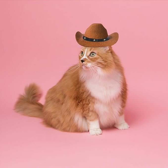 Pet Dog Cowboy Hat Cosplay Cap Puppy Pet Dog Cat Holiday Costume Pet Party Decoration