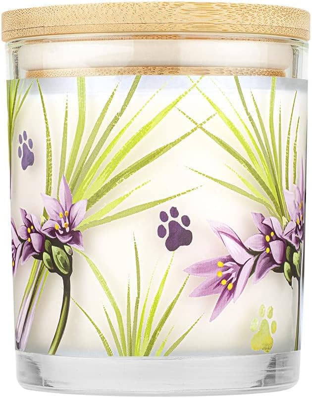 Pet House 9 oz Lemongrass Scented Pet Odor Candle, Clean Burning, Long Lasting, Plant Based Spring, Summer Scented Soy Candles, 60 Hour Burn Time, Pack of 2