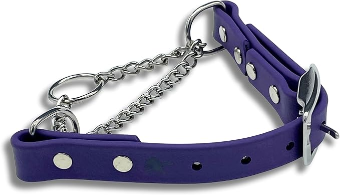 Martingale Collar for Dogs, Biothane, Stainless Steel Hardware, No Pull, Made in The USA, Professional Grade, Extra Large, Purple