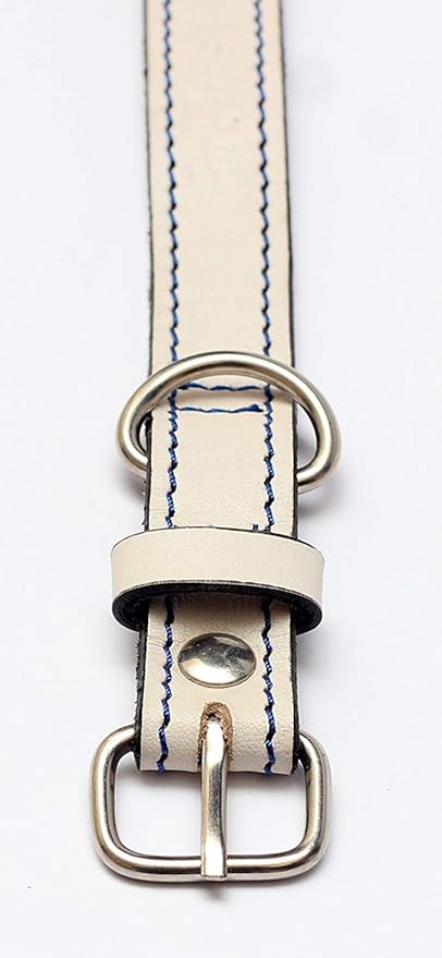 Premium Leather Collars with Stainless Steel Buckles (12"-15", White)