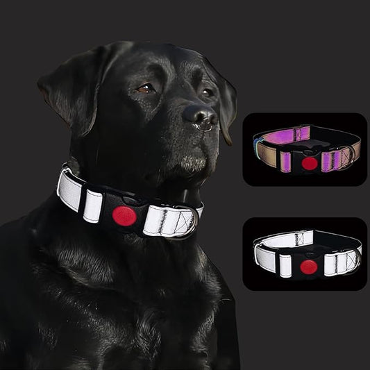 Reflective Dog Collar Soft Neoprene Padded Breathable Nylon Pet Collar Adjustable for Small Medium Large Dogs (Silver, S)