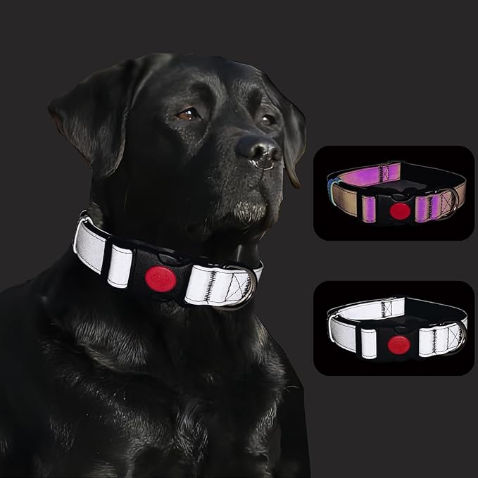Reflective Dog Collar Soft Neoprene Padded Breathable Nylon Pet Collar Adjustable for Small Medium Large Dogs (Silver, M)