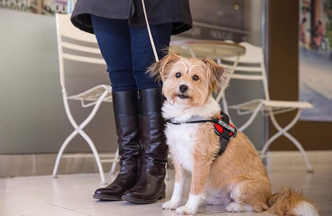 Emotional Support Dog Vest Harness with Reflective Straps, Interchangeable Patches, & Top Handle - ESA Dog Vest in 8 Sizes - Heavy Duty Emotional Support Dog Harness for Working Dogs (Black, Large)