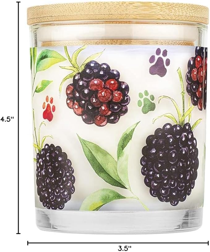 Pet House 9 oz BlackBerry Tea Scented Pet Odor Candle, Clean Burning, Long Lasting, Plant Based Spring, Summer Scented Soy Candles, Pack of 2