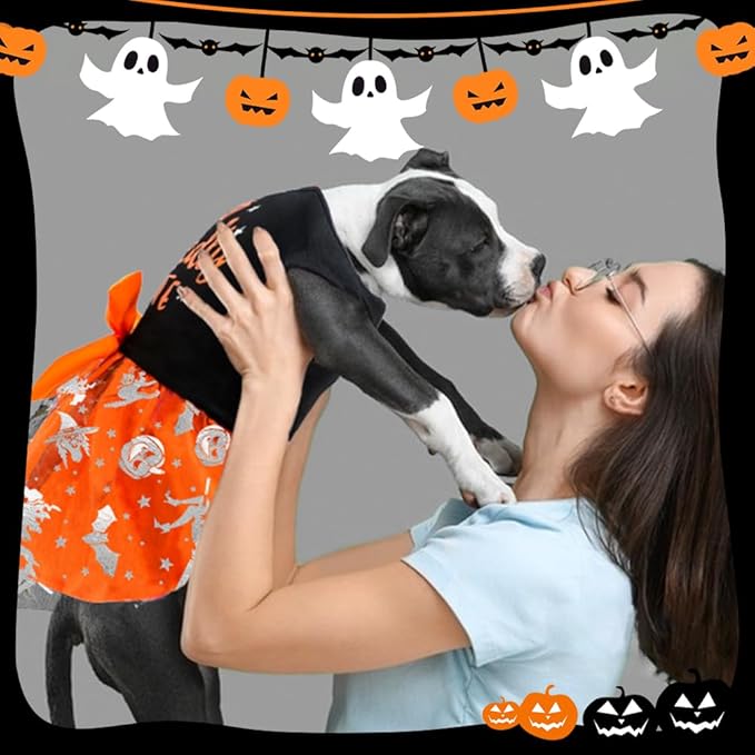 Dog Halloween Costumes Dog Dresses, Halloween Costumes for Dogs Funny Puppy Dress with Bow for Small Large Dogs, Pumpkin Witch Bat Pet Costume Halloween Christmas (Medium, Wickedly Cute)