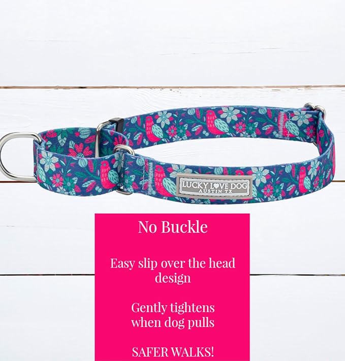 Lucky Love Dog, Whimsical Bird Martingale Dog Collar, Vivid Pink, Mint, Blue Flowers Large No Slip Dog Collar - (L, Carriebelle Mart)