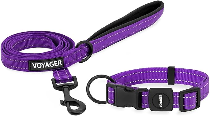 Voyager Reflective Dog Leash Collar Set with Neoprene Handle Supports Small, Medium, and Large Breed Puppies, Cute and Heavy Duty for Walking, Running, and Training - Purple, M