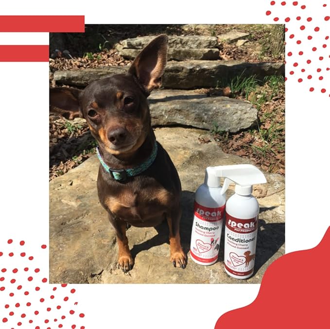 Natural Leave-in Conditioning Spray for Dogs Refill, Soothing Cherry Almond Oatmeal, 1 Gallon