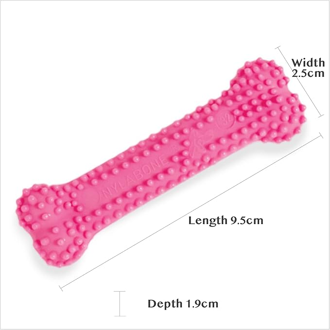 Nylabone Puppy Teething & Soothing Flexible Chew Toy Chicken Pink X-Small/Petite - Up to 15 lbs. (1 Count)