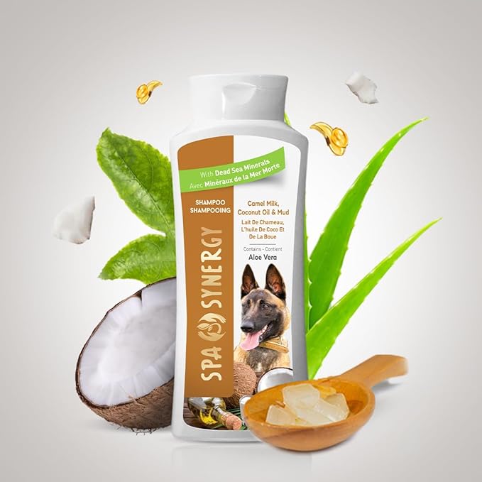 Pet Dog Shampoo Mud and Natural Dead Sea Mineral Rich, Aloe Vera & Vitamin-E, Soothing, Soften, Anti Dandruff, Cleansing- Camel Milk & Coconut Oil - (1) Bottle 16.5 FL OZ