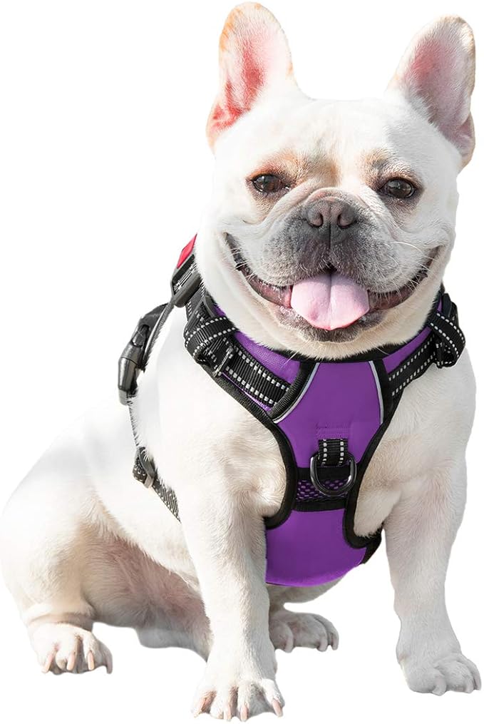 PHOEPET No Pull Dog Harnesses for Small Dogs Reflective Adjustable Front Clip Vest with Handle 2 Metal Rings 3 Buckles [Easy to Put on & Take Off](XS, Purple)