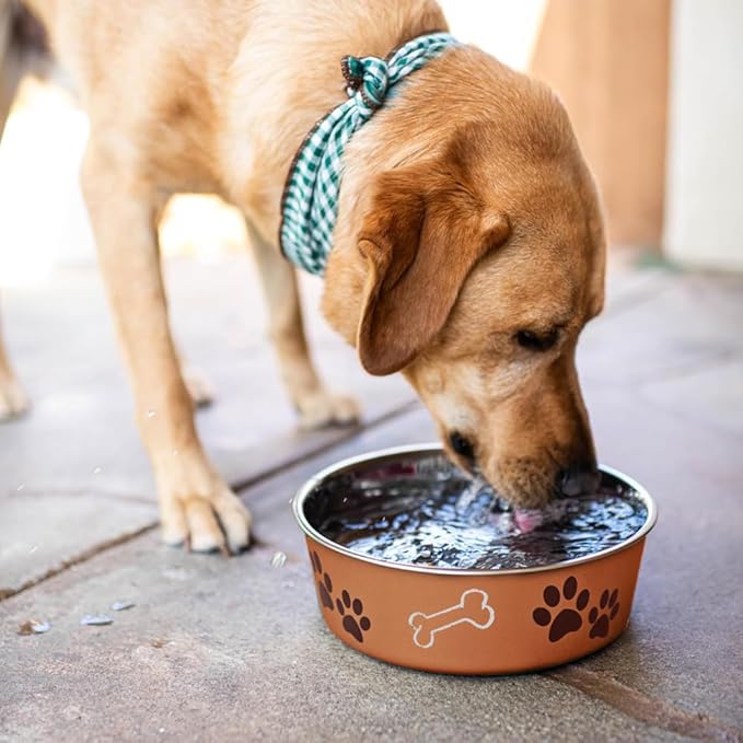 Loving Pets Bella Dog Bowls- Stainless Steel Dog & Cat Bowls - Spill Proof Dog Food Bowl, Cat Bowl, Puppy Essentials & Pet Supplies Great for Home & Travel (X-Large 65-100lbs, Copper)