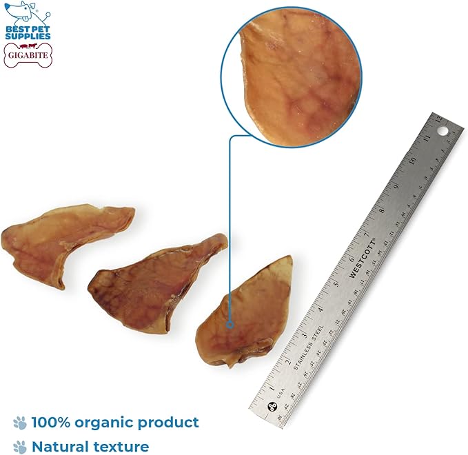 Best Pet Supplies GigaBite Roasted Pig Ears for Dogs, Natural and Healthy Chews, Treats in Whole, Slices, or Sticks, Safe for Puppies and Aggressive Chewers, Clean Teeth and Gums - Pack of 12