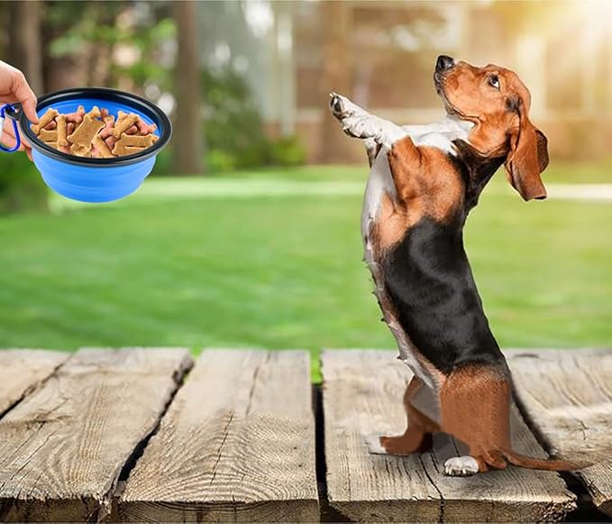 3 Collapsible Silicone Dog Bowl, Foldable Expandable Cup Dish for Small Pet Cat Food Water Feeding Portable Travel Bowl, Pet ID-Tag