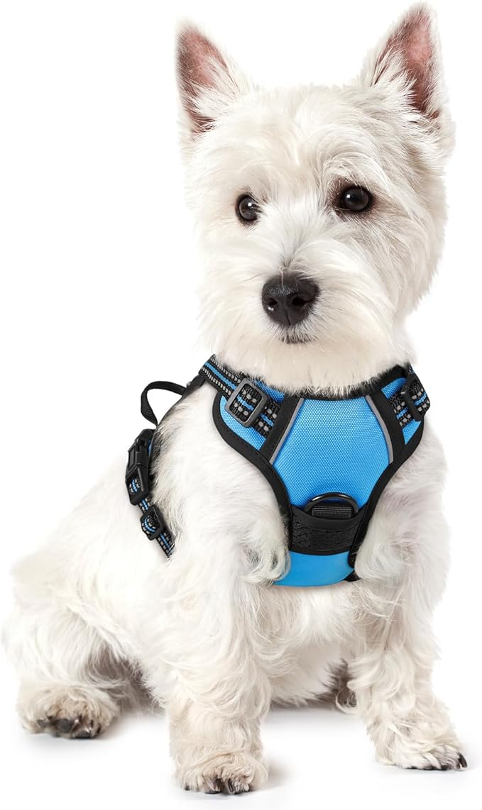 rabbitgoo Dog Harness, No-Pull Pet Harness with 2 Leash Clips, Adjustable Soft Padded Dog Vest, Reflective No-Choke Pet Oxford Vest with Easy Control Handle for Small Dogs, Blue, XS