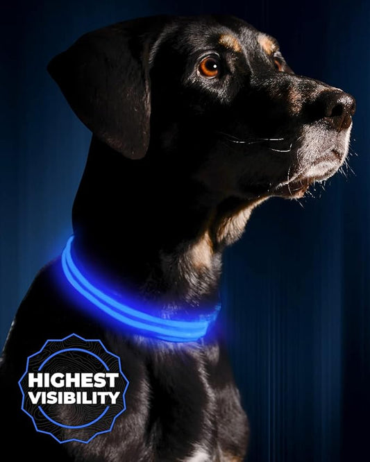 ILLUMISEEN LED Dog Collar USB Rechargeable - Bright & High Visibility Lighted Glow Collar for Pet Night Walking - Weatherproof, in 6 Colors & 6 Sizes (Blue X-Large)