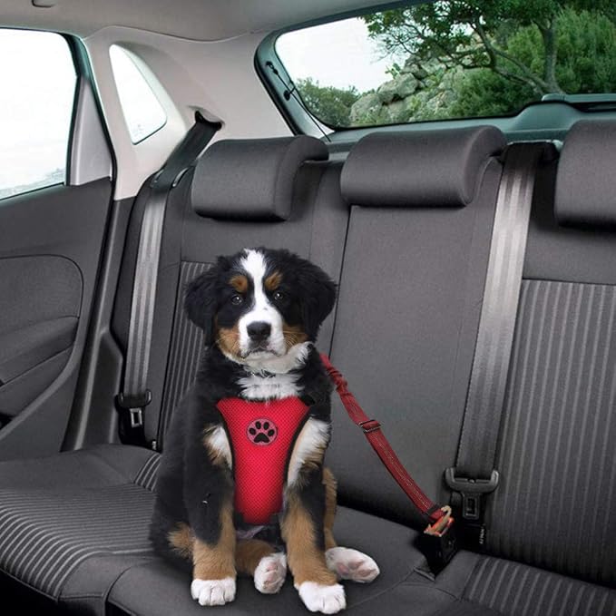 SlowTon Dog Seat Belt Harness for Car, Dog Car Harness Adjustable Mesh Breathable & Dog Seatbelt Safety Tether with Elastic Bungee for Small Medium Large Pets