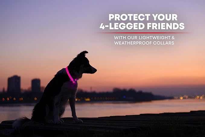 ILLUMISEEN LED Dog Collar USB Rechargeable - Bright & High Visibility Lighted Glow Collar for Pet Night Walking - Weatherproof, in 6 Colors & 6 Sizes (Pink Small)