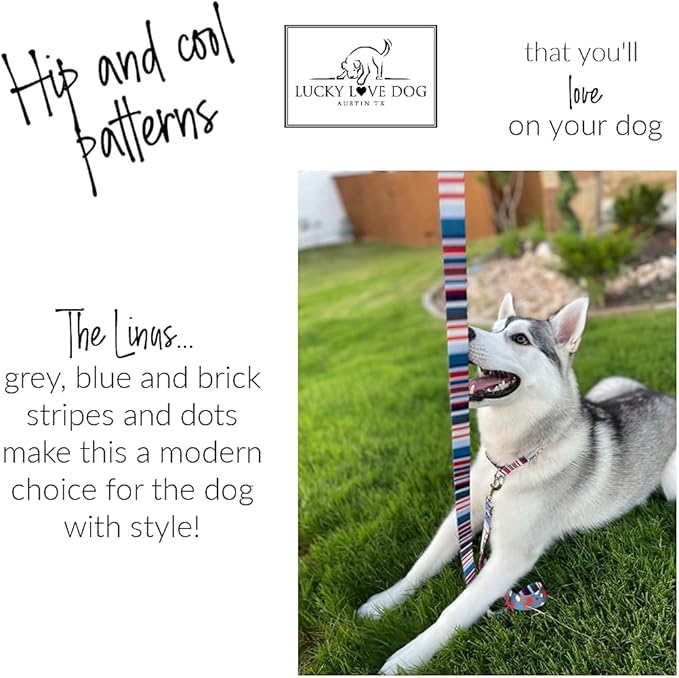 Lucky Love Dog, Nautical Matching Dog Collar and Leash Set, Polka Dot Striped Dog Collar and Leash for Male Female Dogs - (X-Small, Linus Combo)