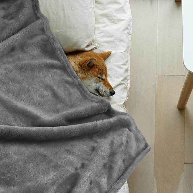 Onarway Dog Blanket Washable for Bed: 2 Packs Dog Blankets 59”x47” - Fluffy Soft Large Throw for Cat Puppy Kitten Dogs - Fleece Pet Blankets for Crate Couch Car and Indoor - Grey