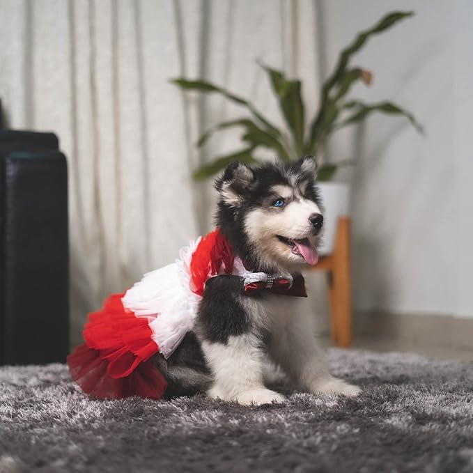 Lovely Dog Bandana Collection: Medium & Large Dog & Cat Cloths in L Red