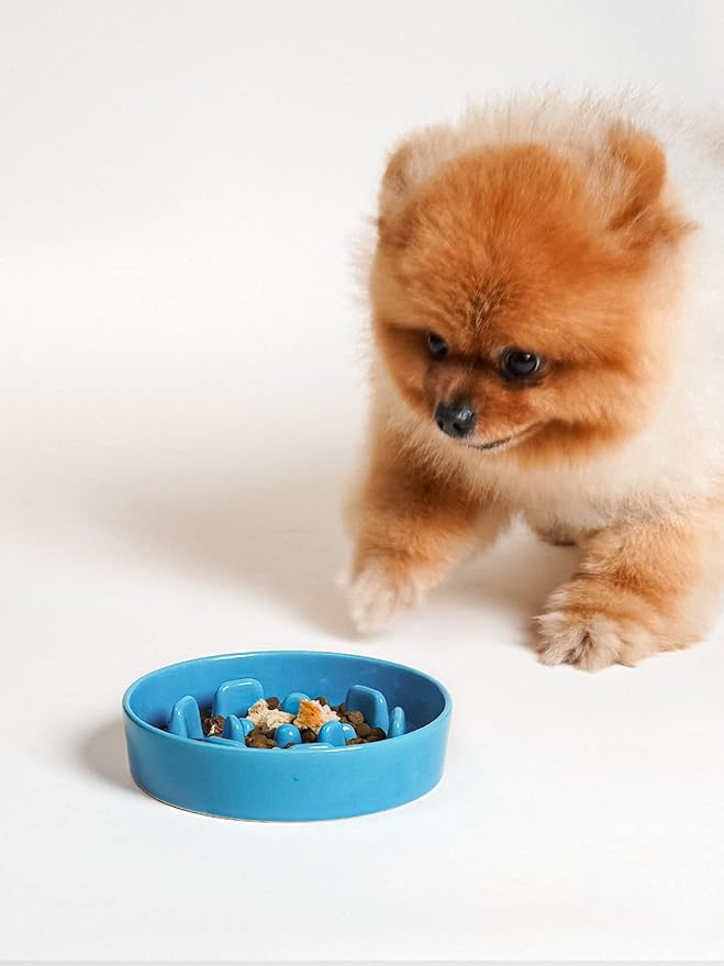 LE TAUCI Ceramic Slow Feeder Dog Bowls Small Breed, 0.6 Cups Dog Food Dish for Fast Eaters, Puzzle Bowl for Small Dogs and Cats,Blue